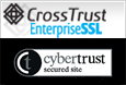 Enterprise EV SSL