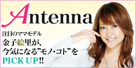 ���q�G����Antenna